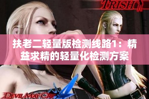 扶老二轻量版检测线路1：精益求精的轻量化检测方案