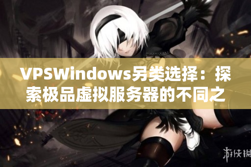 VPSWindows另类选择：探索极品虚拟服务器的不同之处