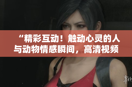 “精彩互动！触动心灵的人与动物情感瞬间，高清视频素材震撼下载！”