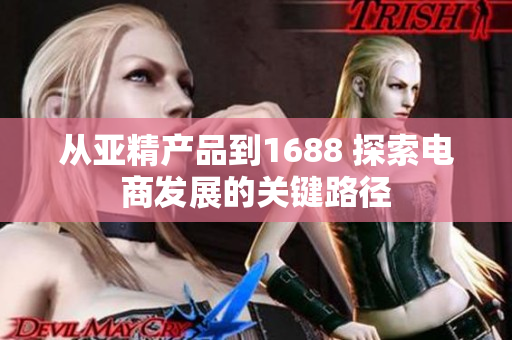 从亚精产品到1688 探索电商发展的关键路径