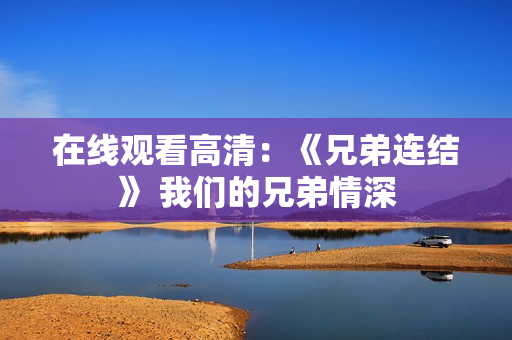 在线观看高清：《兄弟连结》 我们的兄弟情深
