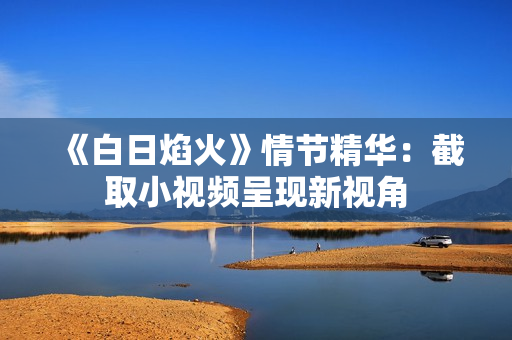 《白日焰火》情节精华：截取小视频呈现新视角