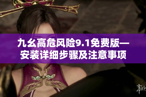 九幺高危风险9.1免费版—安装详细步骤及注意事项