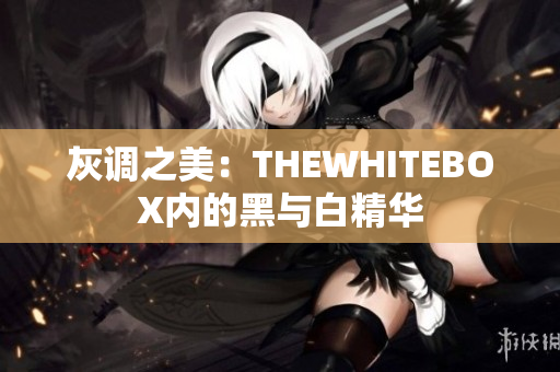 灰调之美:THEWHITEBOX内的黑与白精华 灰调之美:THEWHITEBOX内的黑与白精华