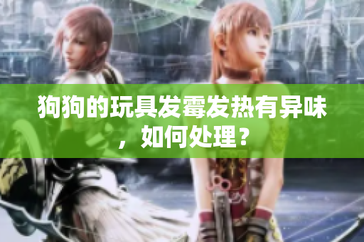 狗狗的玩具发霉发热有异味，如何处理？