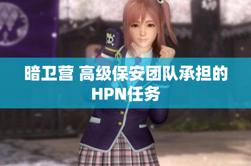 暗卫营 高级保安团队承担的HPN任务