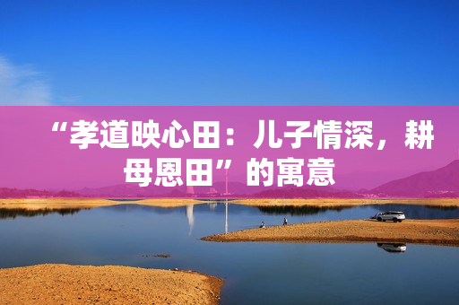 “孝道映心田：儿子情深，耕母恩田”的寓意
