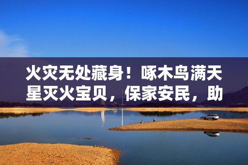 火灾无处藏身！啄木鸟满天星灭火宝贝，保家安民，助力消防！