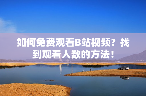 如何免费观看B站视频？找到观看人数的方法！