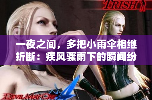 一夜之间，多把小雨伞相继折断：疾风骤雨下的瞬间纷乱