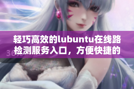 轻巧高效的lubuntu在线路检测服务入口，方便快捷的上网体验