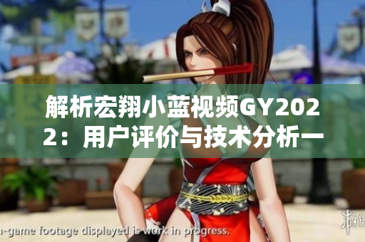 解析宏翔小蓝视频GY2022：用户评价与技术分析一览