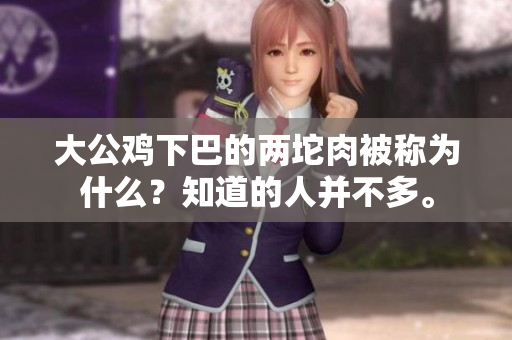 大公鸡下巴的两坨肉被称为什么？知道的人并不多。