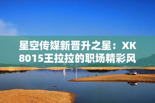 星空传媒新晋升之星：XK8015王拉拉的职场精彩风云1