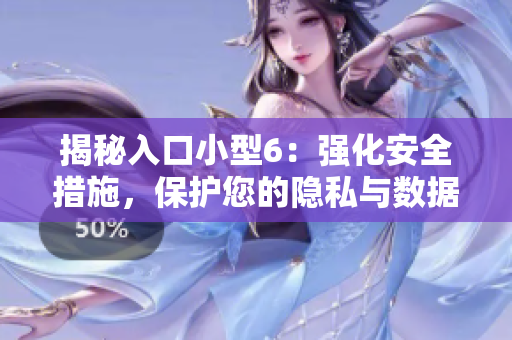 揭秘入口小型6：强化安全措施，保护您的隐私与数据安全