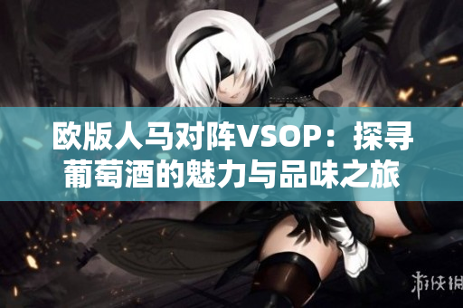 欧版人马对阵VSOP：探寻葡萄酒的魅力与品味之旅