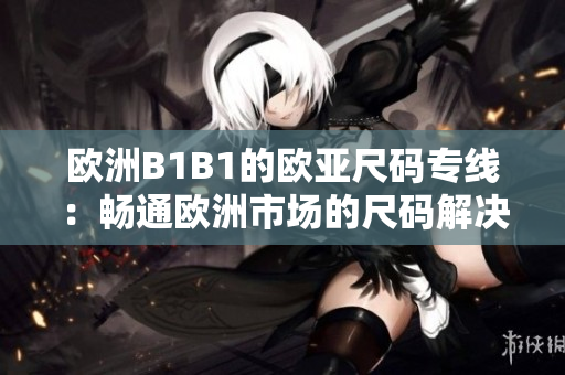 欧洲B1B1的欧亚尺码专线：畅通欧洲市场的尺码解决方案