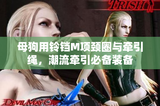 母狗用铃铛M项颈圈与牵引绳，潮流牵引必备装备
