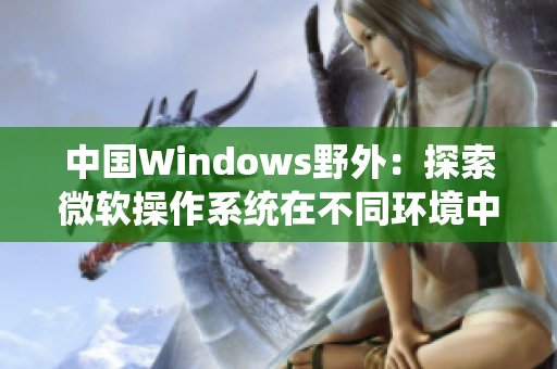 中国Windows野外：探索微软操作系统在不同环境中的应用与适应
