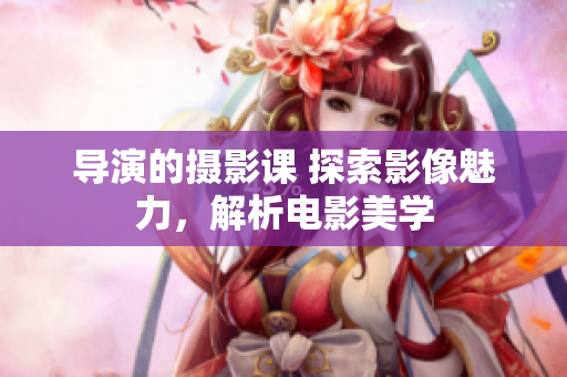 导演的摄影课 探索影像魅力，解析电影美学