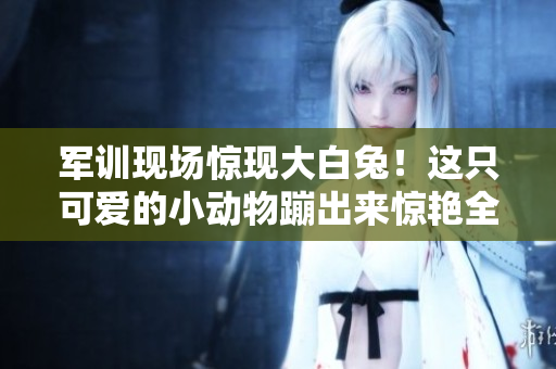 军训现场惊现大白兔！这只可爱的小动物蹦出来惊艳全场