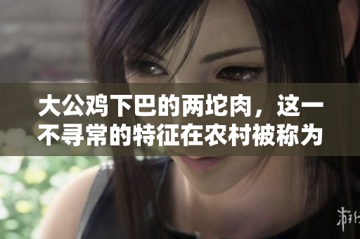 大公鸡下巴的两坨肉，这一不寻常的特征在农村被称为“雄壮之证”。
