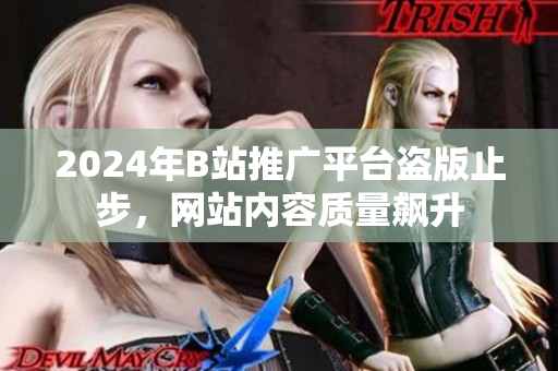 2024年B站推广平台盗版止步，网站内容质量飙升