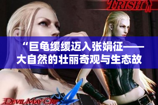 “巨龟缓缓迈入张娟征——大自然的壮丽奇观与生态故事”