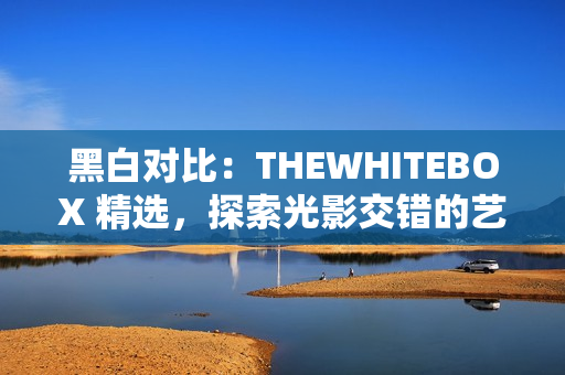 黑白对比：THEWHITEBOX 精选，探索光影交错的艺术世界