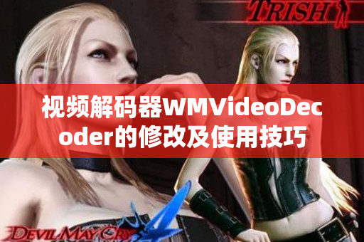 视频解码器WMVideoDecoder的修改及使用技巧