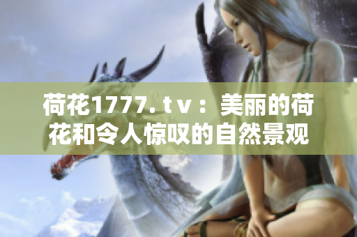 荷花1777. tⅴ：美丽的荷花和令人惊叹的自然景观
