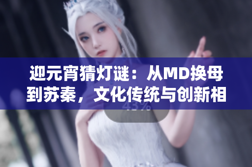迎元宵猜灯谜：从MD换母到苏秦，文化传统与创新相结合