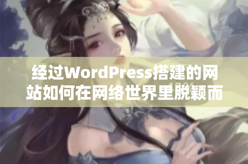 经过WordPress搭建的网站如何在网络世界里脱颖而出
