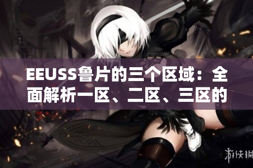 EEUSS鲁片的三个区域：全面解析一区、二区、三区的特色与魅力