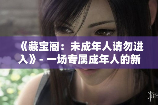 《藏宝阁：未成年人请勿进入》- 一场专属成年人的新奇冒险!