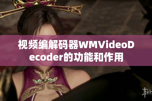 视频编解码器WMVideoDecoder的功能和作用