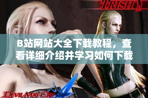 B站网站大全下载教程，查看详细介绍并学习如何下载B站上的视频、音乐和图片