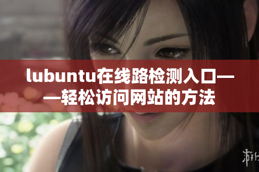 lubuntu在线路检测入口——轻松访问网站的方法
