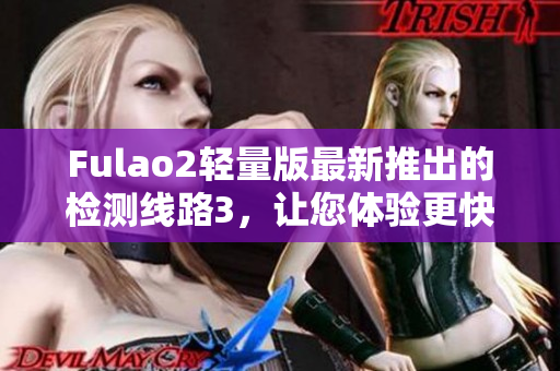 Fulao2轻量版最新推出的检测线路3，让您体验更快速的网络连接