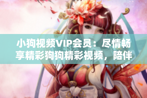 小狗视频VIP会员：尽情畅享精彩狗狗精彩视频，陪伴您的生活时刻