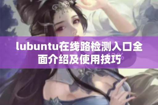 lubuntu在线路检测入口全面介绍及使用技巧