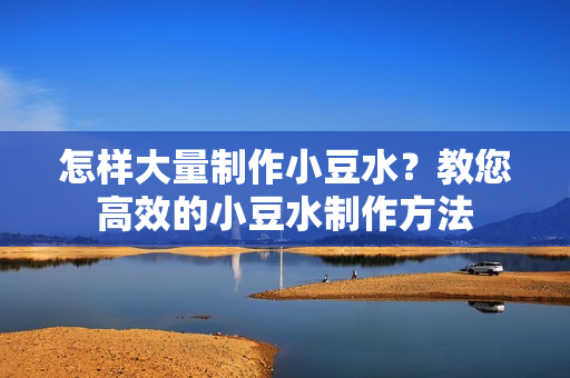 怎样大量制作小豆水？教您高效的小豆水制作方法