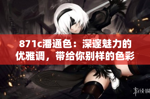 871c潘通色：深邃魅力的优雅调，带给你别样的色彩体验