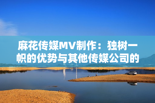 麻花传媒MV制作：独树一帜的优势与其他传媒公司的比较