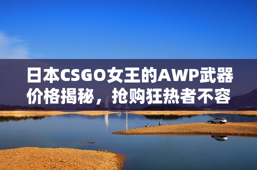 日本CSGO女王的AWP武器价格揭秘，抢购狂热者不容错过