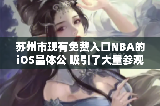 苏州市现有免费入口NBA的iOS晶体公 吸引了大量参观者