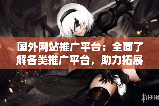 国外网站推广平台：全面了解各类推广平台，助力拓展海外市场