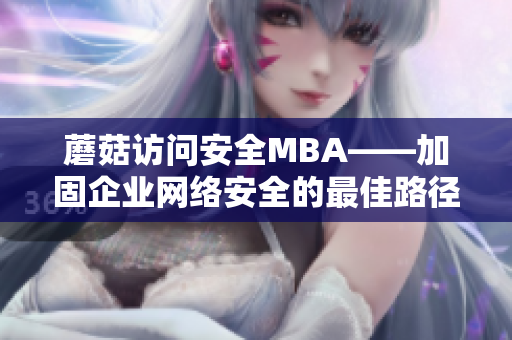 蘑菇访问安全MBA——加固企业网络安全的最佳路径
