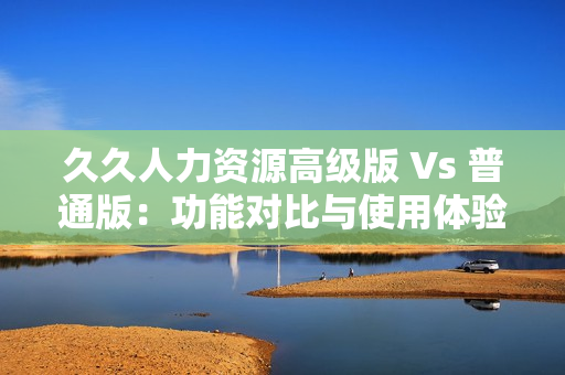 久久人力资源高级版 Vs 普通版：功能对比与使用体验大揭秘