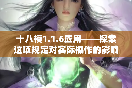 十八模1.1.6应用——探索这项规定对实际操作的影响及适用性